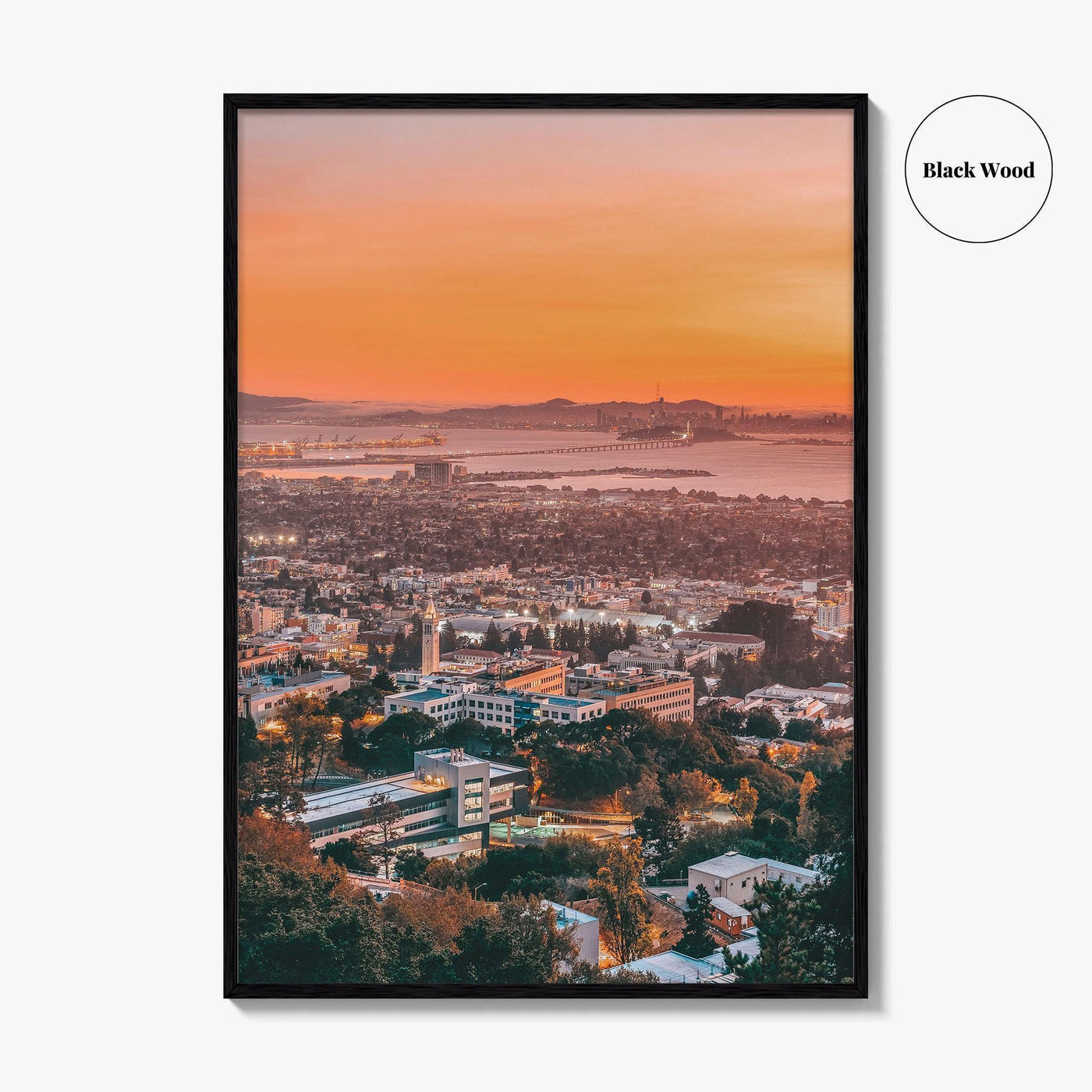 Berkeley Fine Art Photo Print, California, Bay Area, Cal, Wall Decor Poster