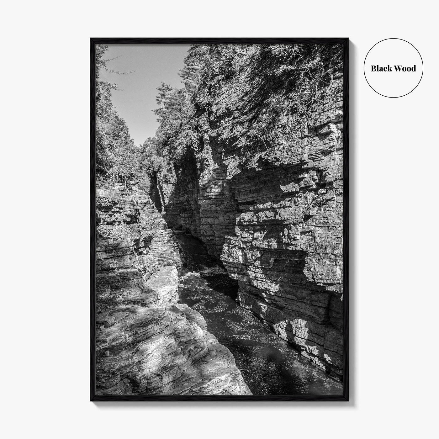Ausable Chasm Black and White Fine Art Photo Print, Adirondack Mountains New York Poster
