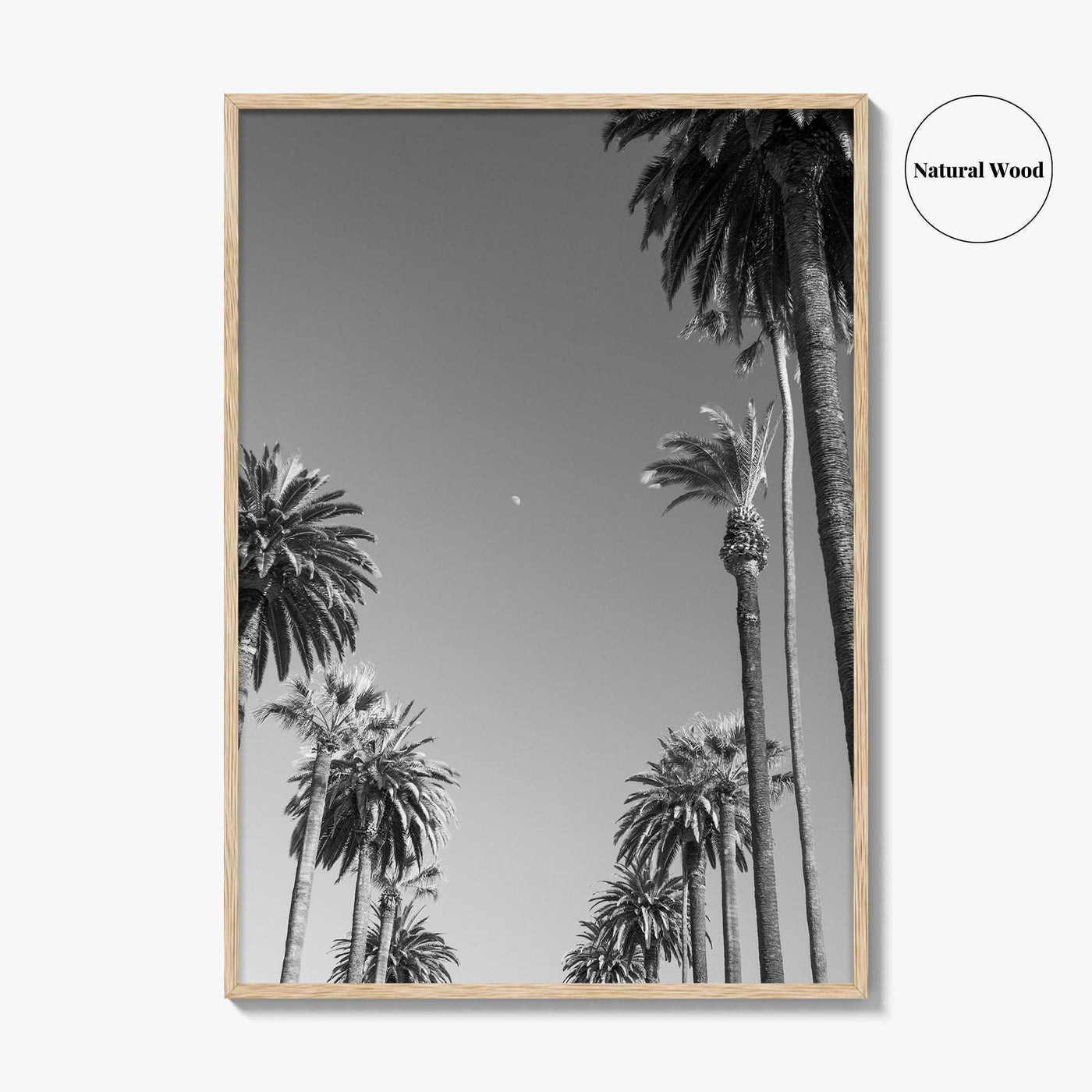 Beverly Hills Black and White Fine Art Photo Print, Los Angeles Palm Trees Poster