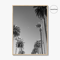 Beverly Hills Black and White Fine Art Photo Print, Los Angeles Palm Trees Poster