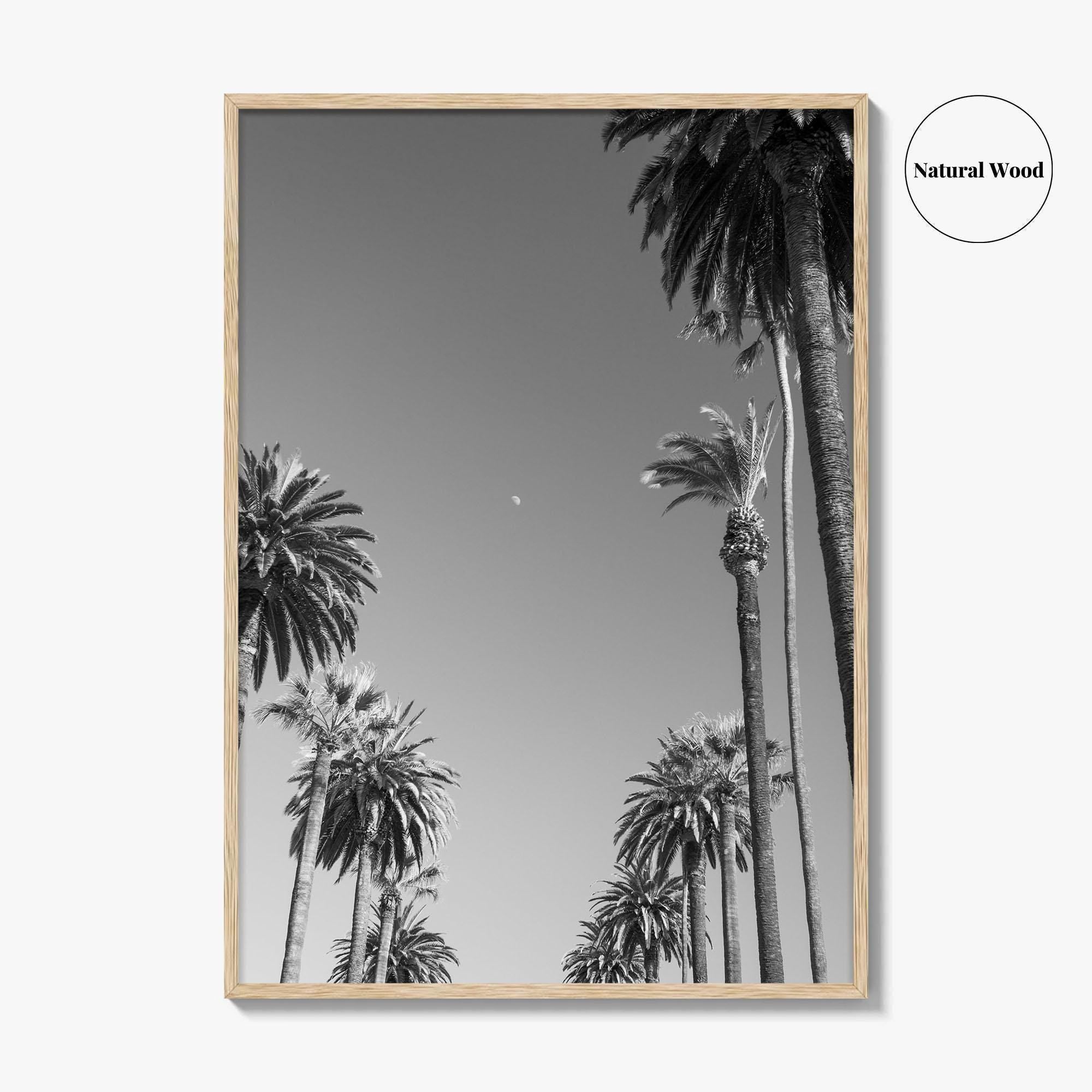Beverly Hills Black and White Fine Art Photo Print, Los Angeles Palm Trees Poster