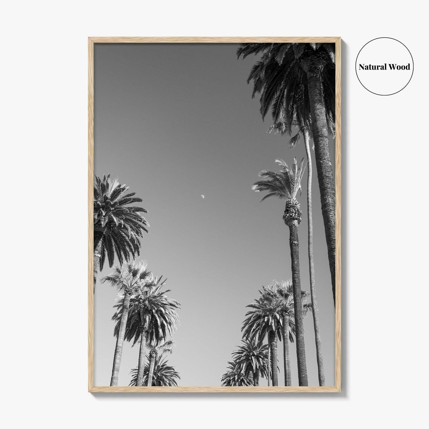 Beverly Hills Black and White Fine Art Photo Print, Los Angeles Palm Trees Poster