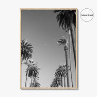 Beverly Hills Black and White Fine Art Photo Print, Los Angeles Palm Trees Poster