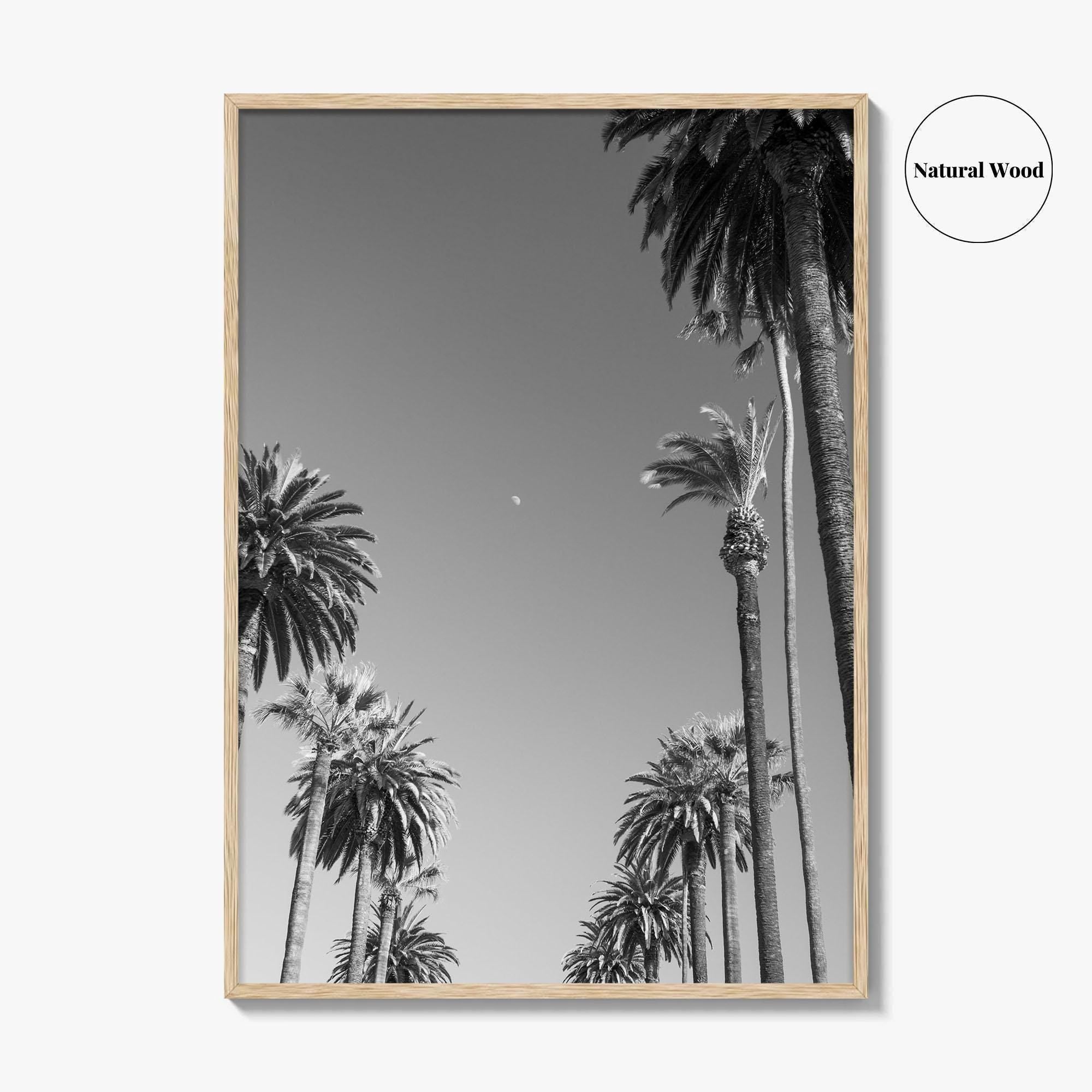 Beverly Hills Black and White Fine Art Photo Print, Los Angeles Palm Trees Poster