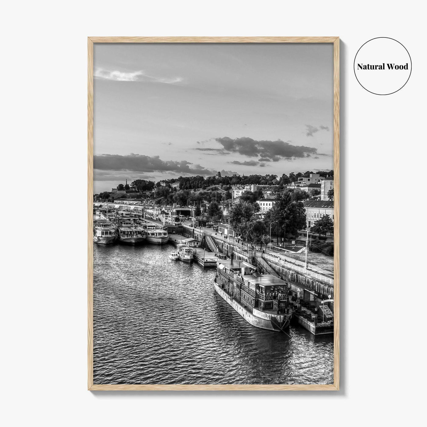 Belgrade Black and White Fine Art Photo Print, Serbia Photo Poster, Beograd Ship