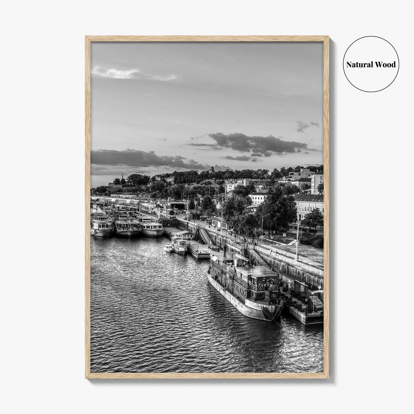 Belgrade Black and White Fine Art Photo Print, Serbia Photo Poster, Beograd Ship