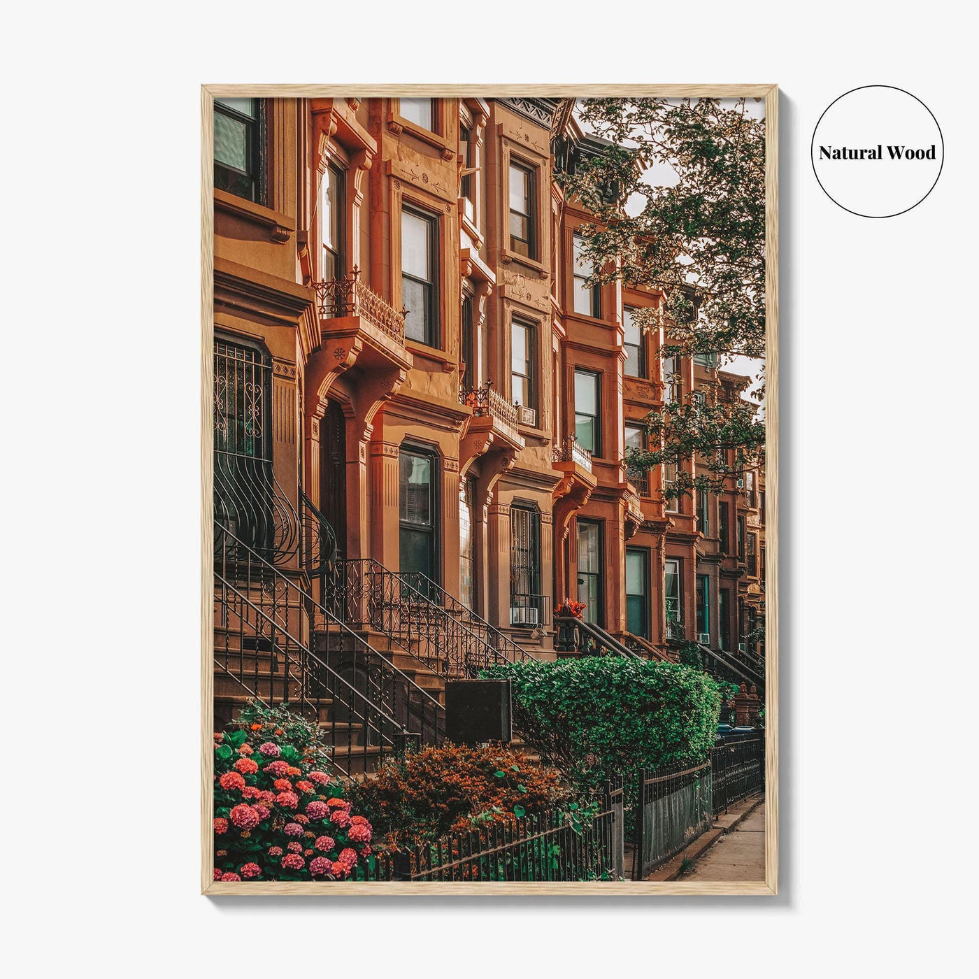 Bedford-Stuyvesant Fine Art Photo Print, Brooklyn Brownstones, NYC Wall Art Poster