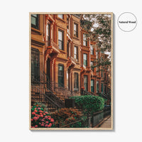 Bedford-Stuyvesant Fine Art Photo Print, Brooklyn Brownstones, NYC Wall Art Poster