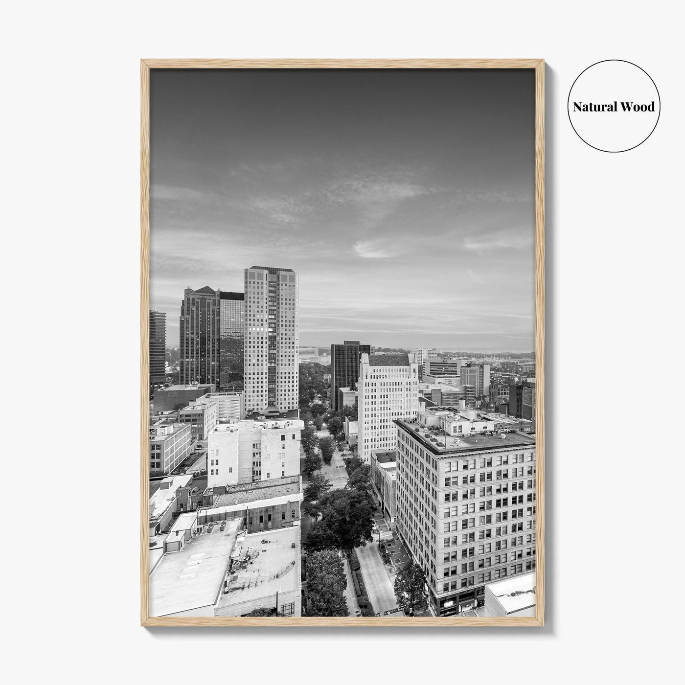Birmingham Alabama Skyline Black and White Fine Art Photo Print, City, Alabama Poster