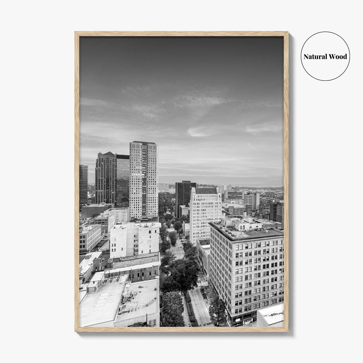 Birmingham Alabama Skyline Black and White Fine Art Photo Print, City, Alabama Poster