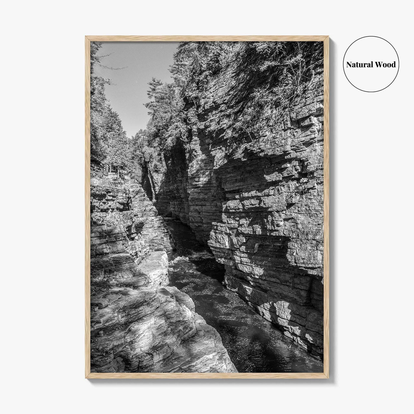 Ausable Chasm Black and White Fine Art Photo Print, Adirondack Mountains New York Poster