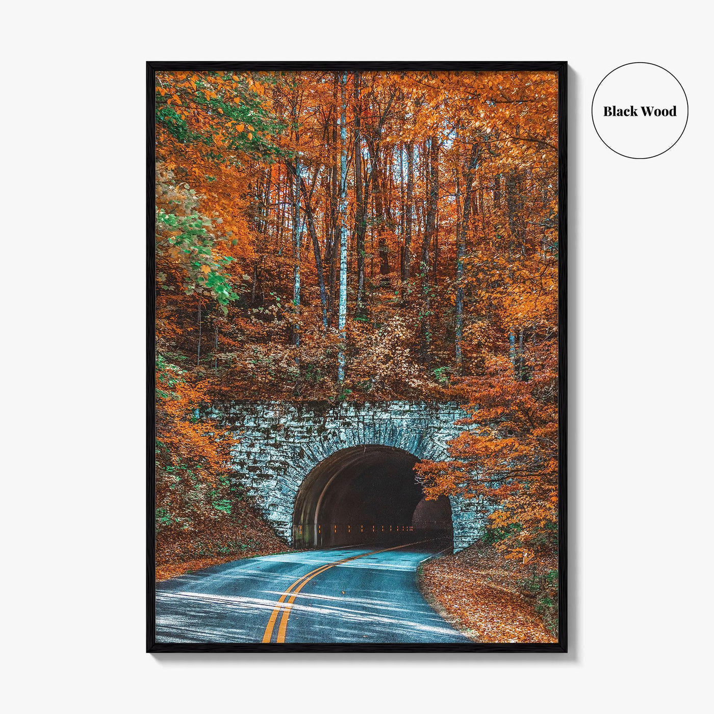Asheville Fine Art Photo Print, Blue Ridge Parkway Tunnel, North Carolina Wall Poster