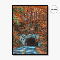 Asheville Fine Art Photo Print, Blue Ridge Parkway Tunnel, North Carolina Wall Poster