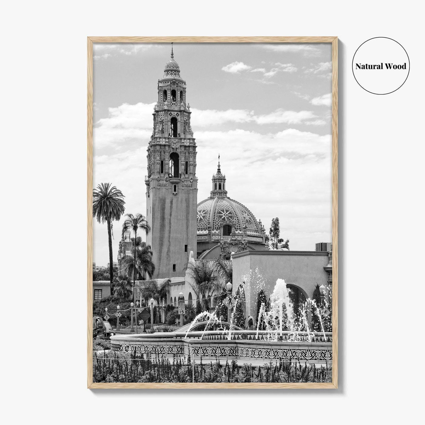 Balboa Park Black and White Fine Art Photo Print, San Diego Fountain, California Poster