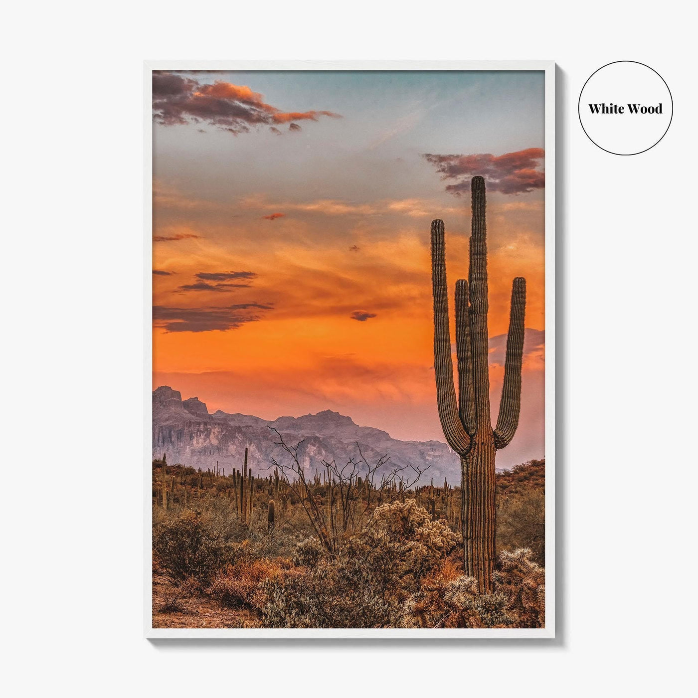 Arizona Fine Art Photo Print, Phoenix Sonoran Desert, USA Wall Decor Poster