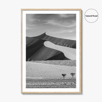 Namibia Black and White Fine Art Photo Print, Namib Desert Dune, Namib-Naukluft Poster