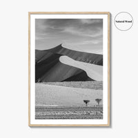 Namibia Black and White Fine Art Photo Print, Namib Desert Dune, Namib-Naukluft Poster