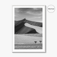 Namibia Black and White Fine Art Photo Print, Namib Desert Dune, Namib-Naukluft Poster