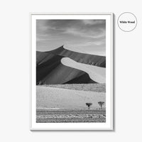 Namibia Black and White Fine Art Photo Print, Namib Desert Dune, Namib-Naukluft Poster