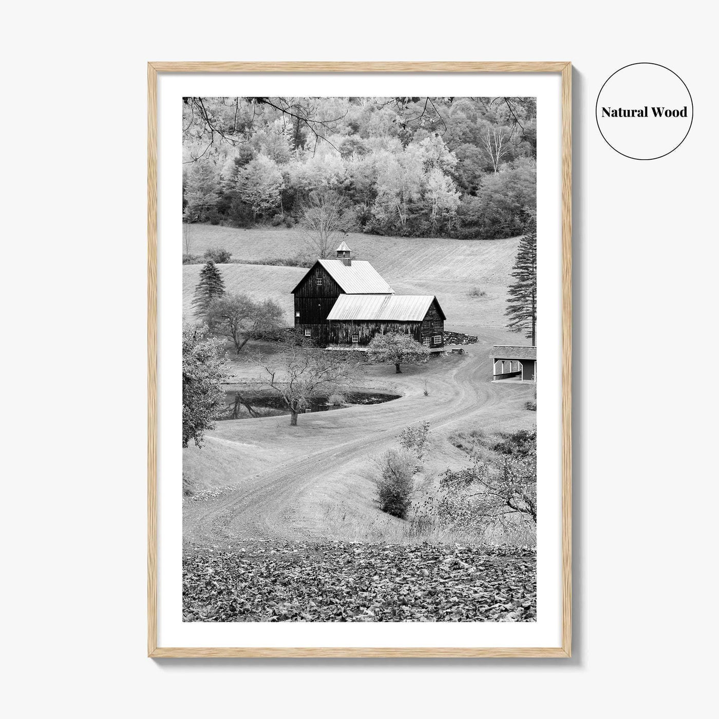 New England Black and White Fine Art Photo Print, Vermont Autumn Landscape Poster