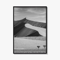 Namibia Black and White Fine Art Photo Print, Namib Desert Dune, Namib-Naukluft Poster