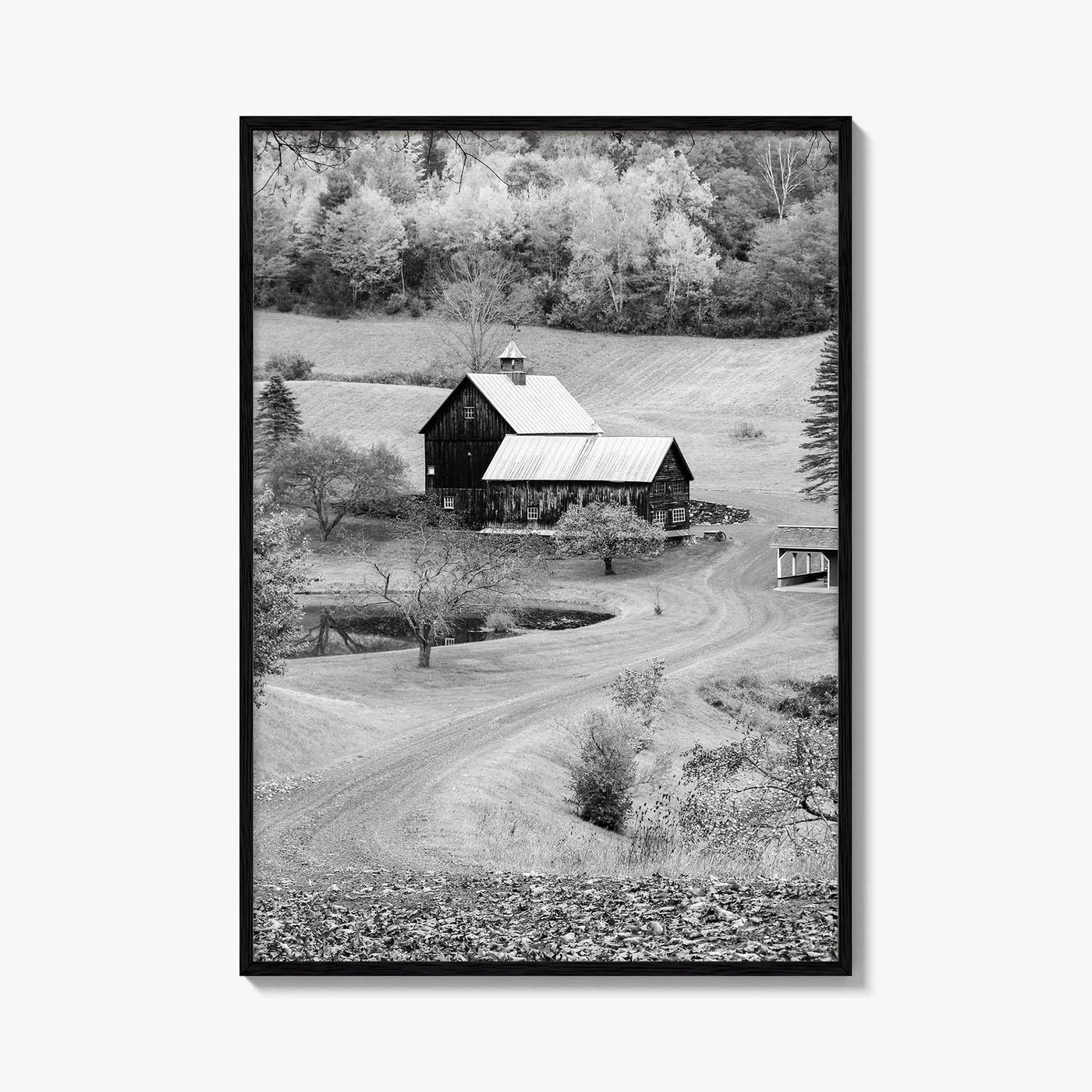 New England Black and White Fine Art Photo Print, Vermont Autumn Landscape Poster