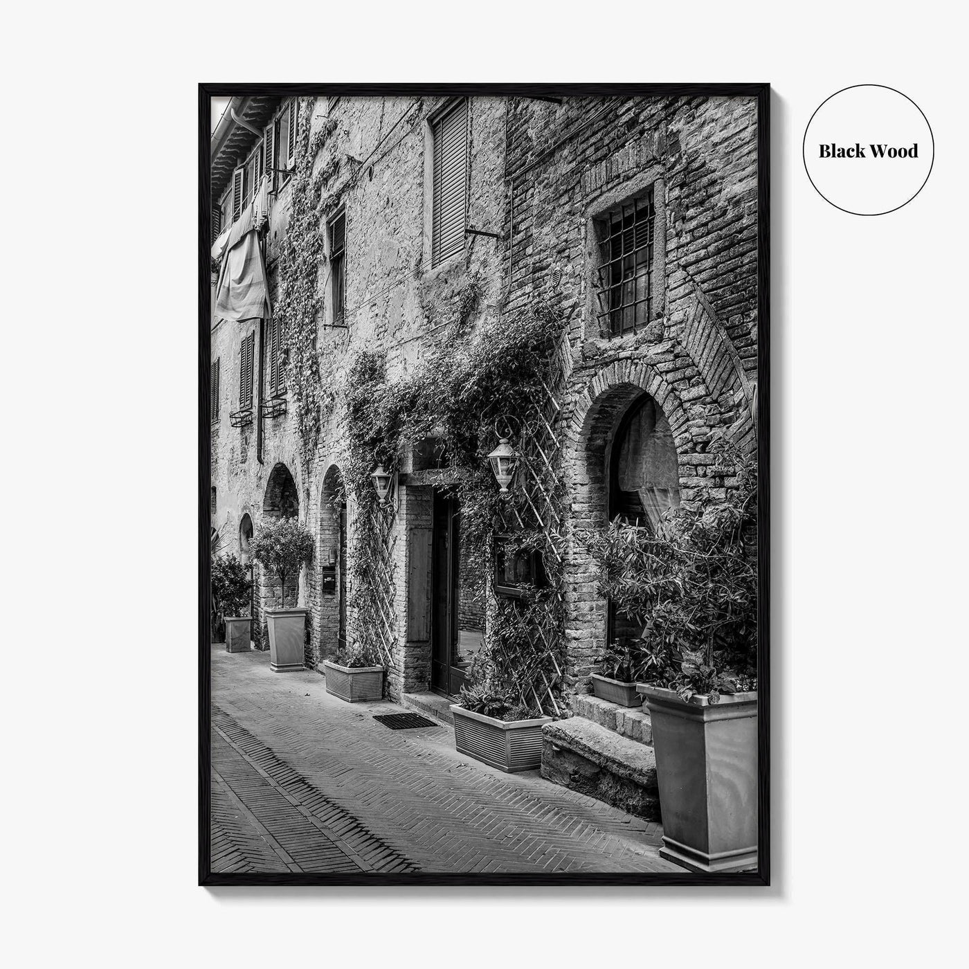 San Gimignano Black and White Fine Art Photo Print, Tuscany Italy Wall Poster