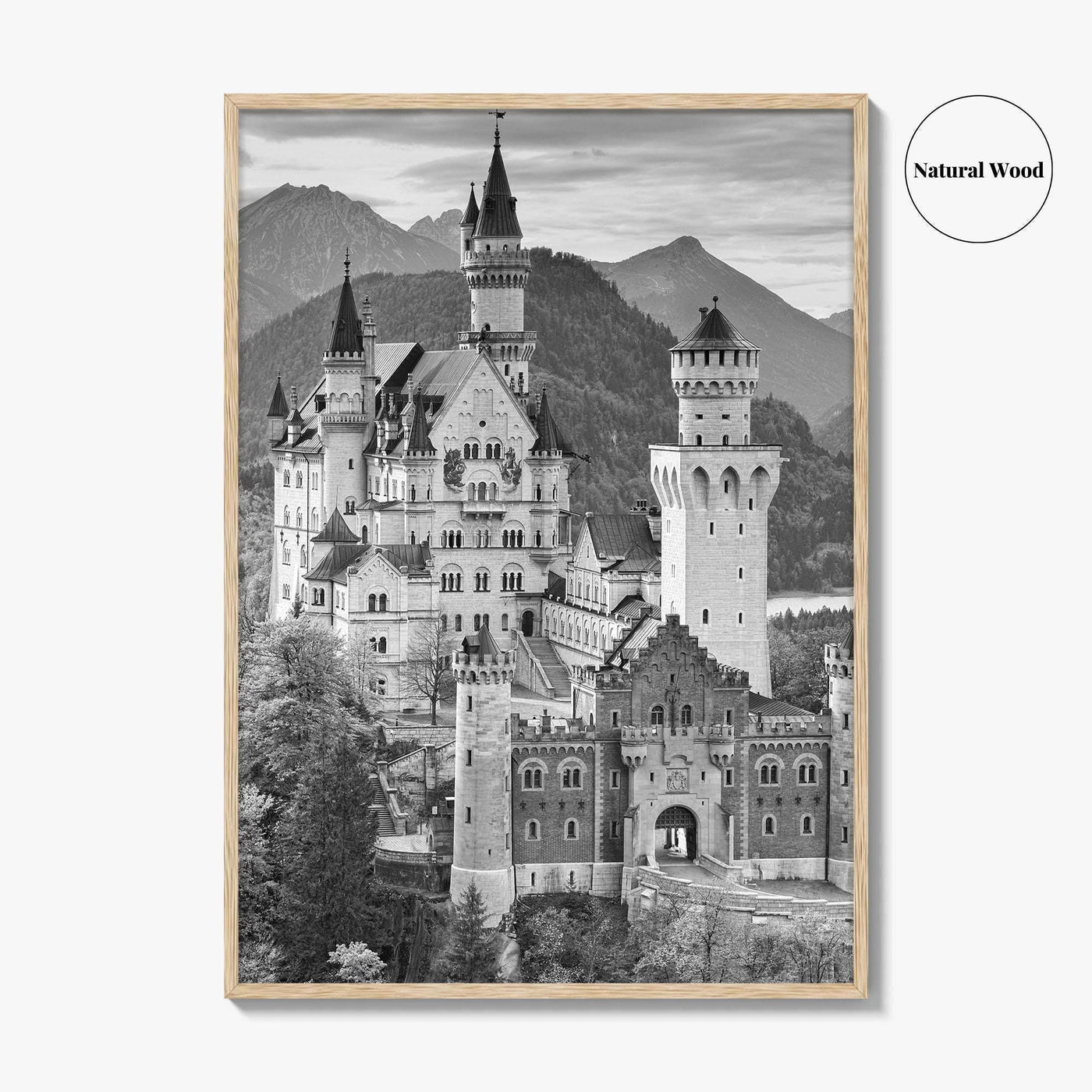 Neuschwanstein Castle Black and White Fine Art Photo Print, Bavaria Germany Poster