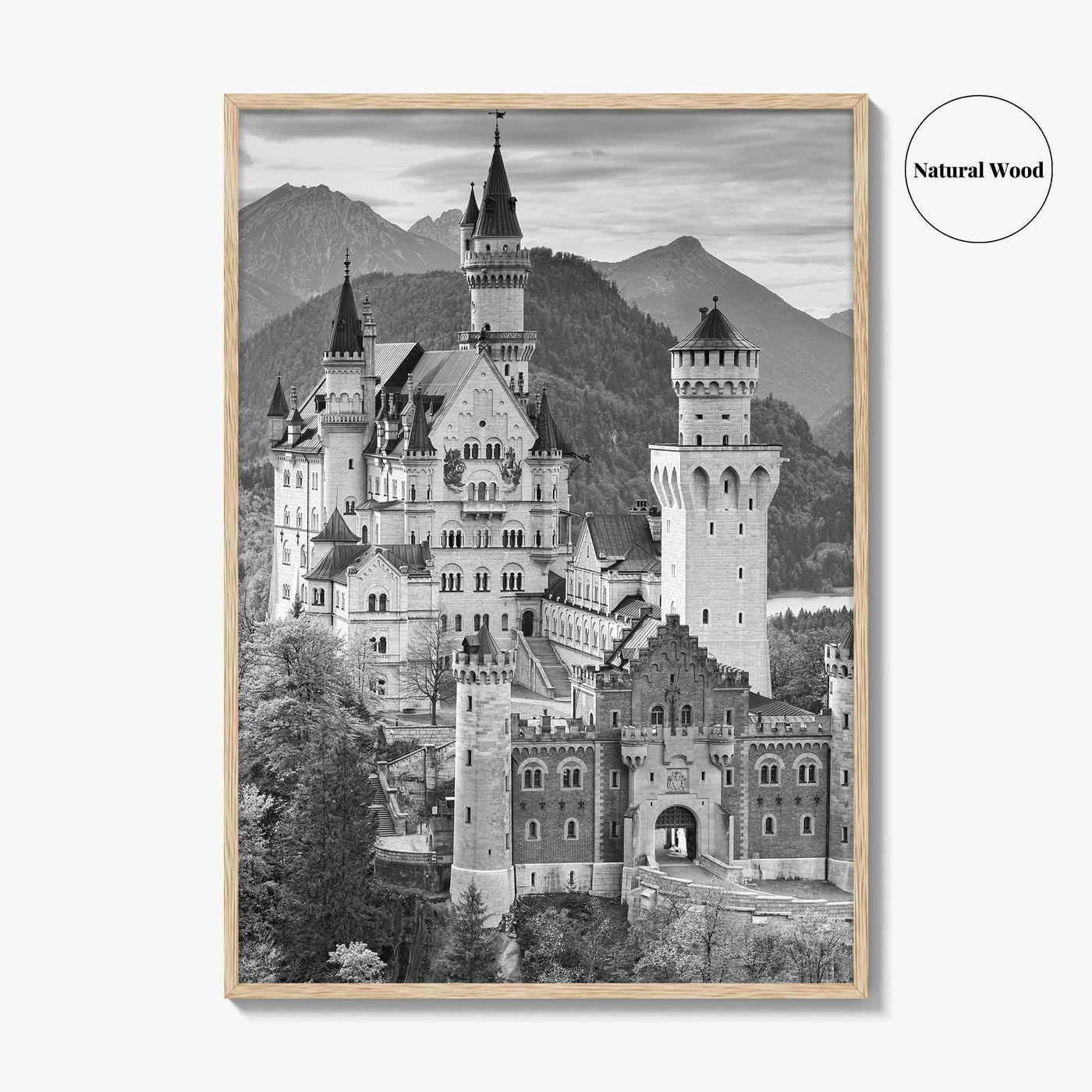 Neuschwanstein Castle Black and White Fine Art Photo Print, Bavaria Germany Poster