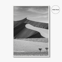 Namibia Black and White Fine Art Photo Print, Namib Desert Dune, Namib-Naukluft Poster