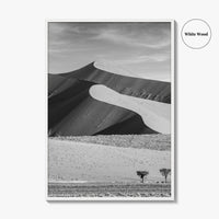 Namibia Black and White Fine Art Photo Print, Namib Desert Dune, Namib-Naukluft Poster