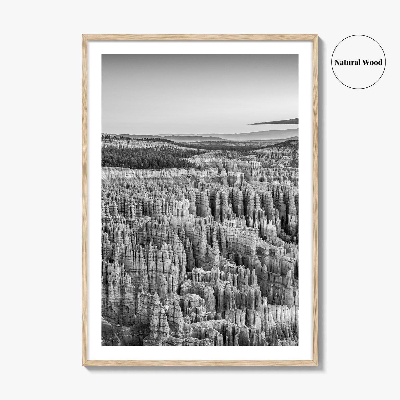 Bryce Canyon National Park Black and White Fine Art Photo Print, Utah USA Poster