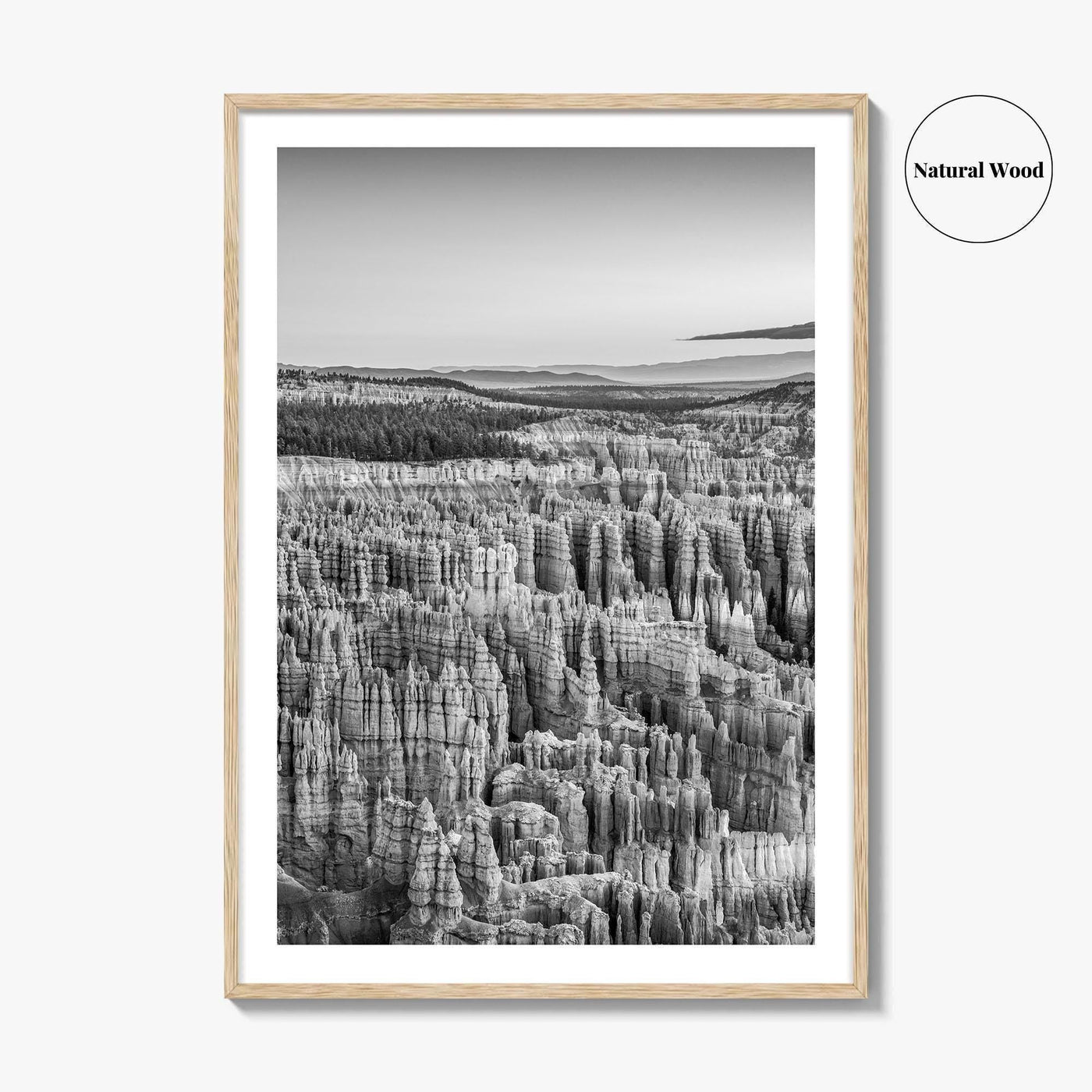Bryce Canyon National Park Black and White Fine Art Photo Print, Utah USA Poster