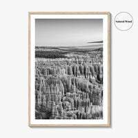 Bryce Canyon National Park Black and White Fine Art Photo Print, Utah USA Poster