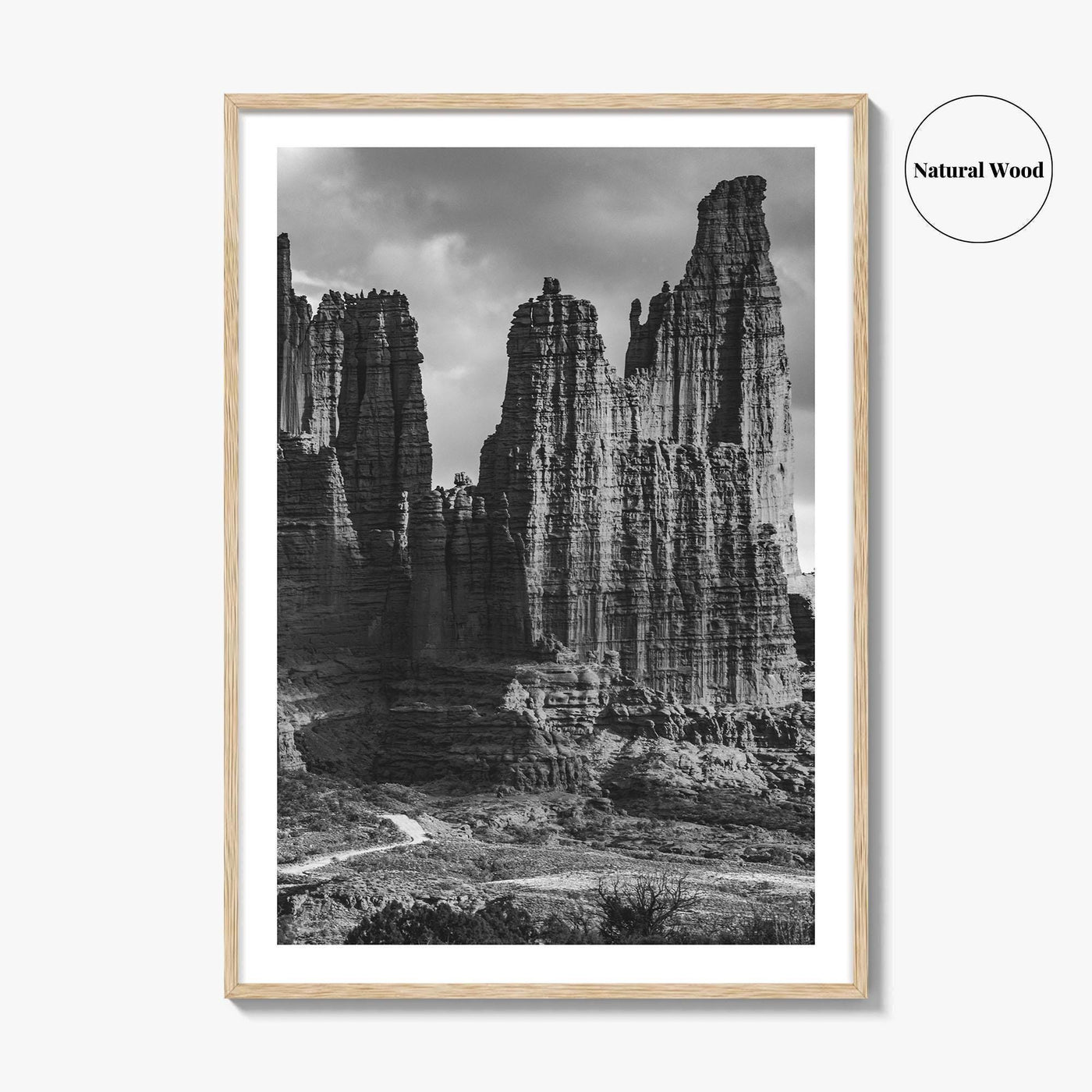 Moab Black and White Fine Art Photo Print, Fisher Towers Utah Colorado River Poster