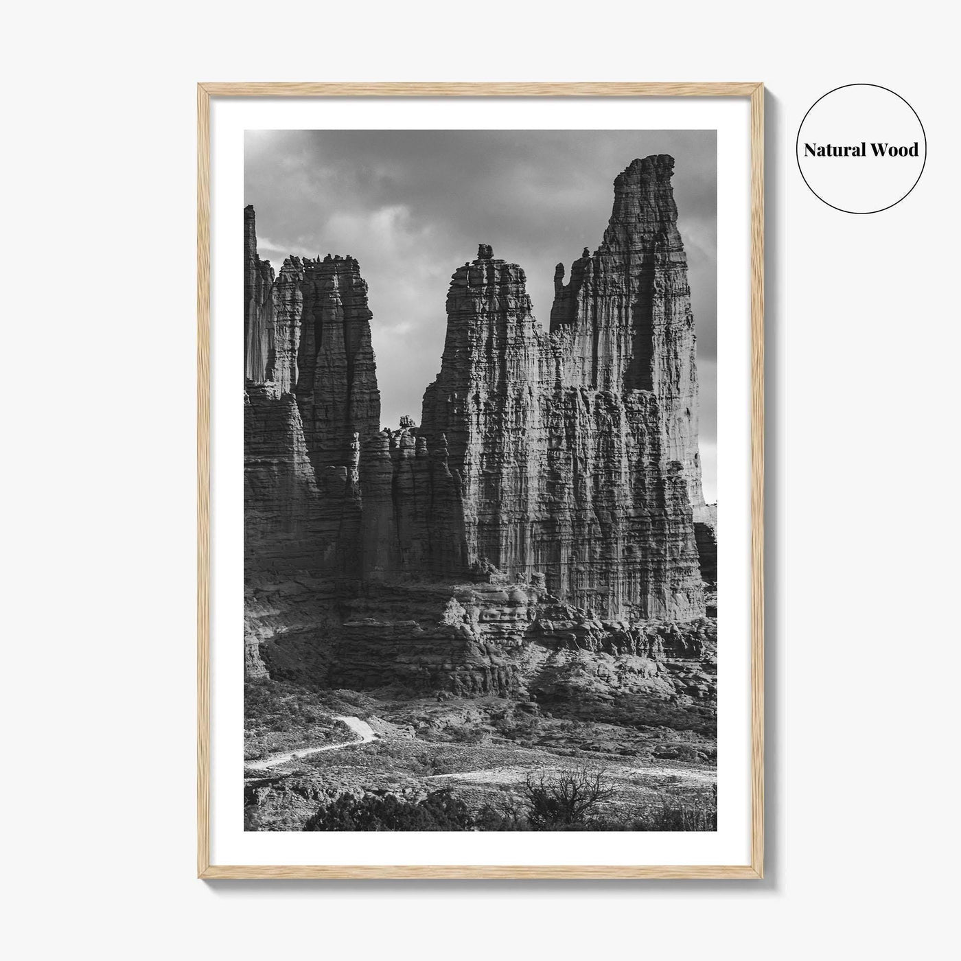 Moab Black and White Fine Art Photo Print, Fisher Towers Utah Colorado River Poster
