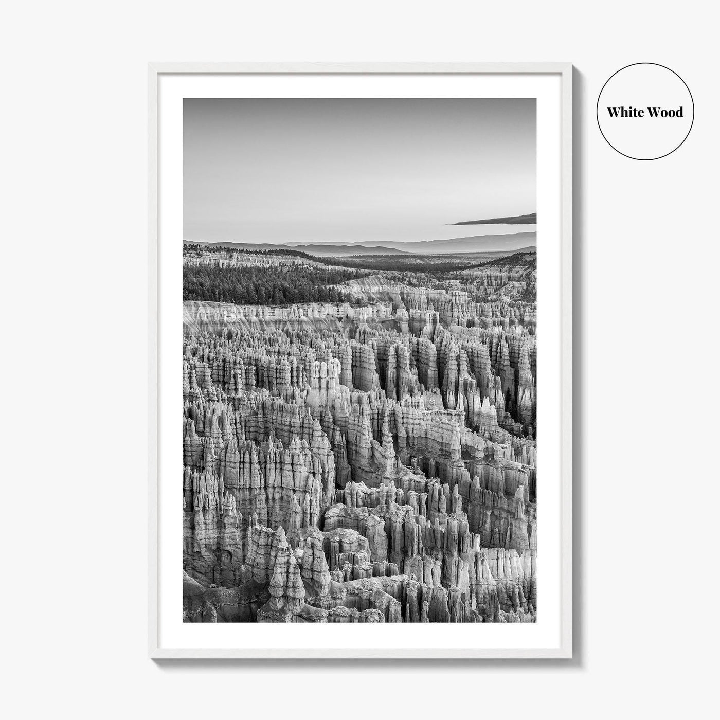 Bryce Canyon National Park Black and White Fine Art Photo Print, Utah USA Poster
