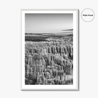 Bryce Canyon National Park Black and White Fine Art Photo Print, Utah USA Poster