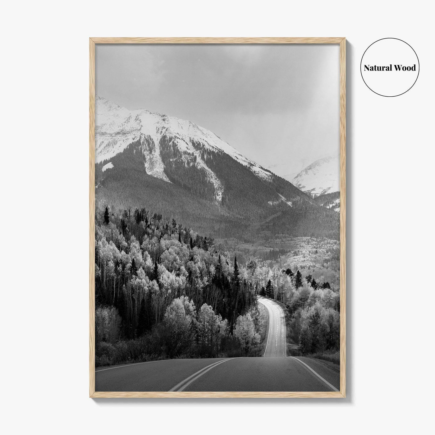 Telluride Colorado Black and White Fine Art Photo Print, Mountain Village CO Poster