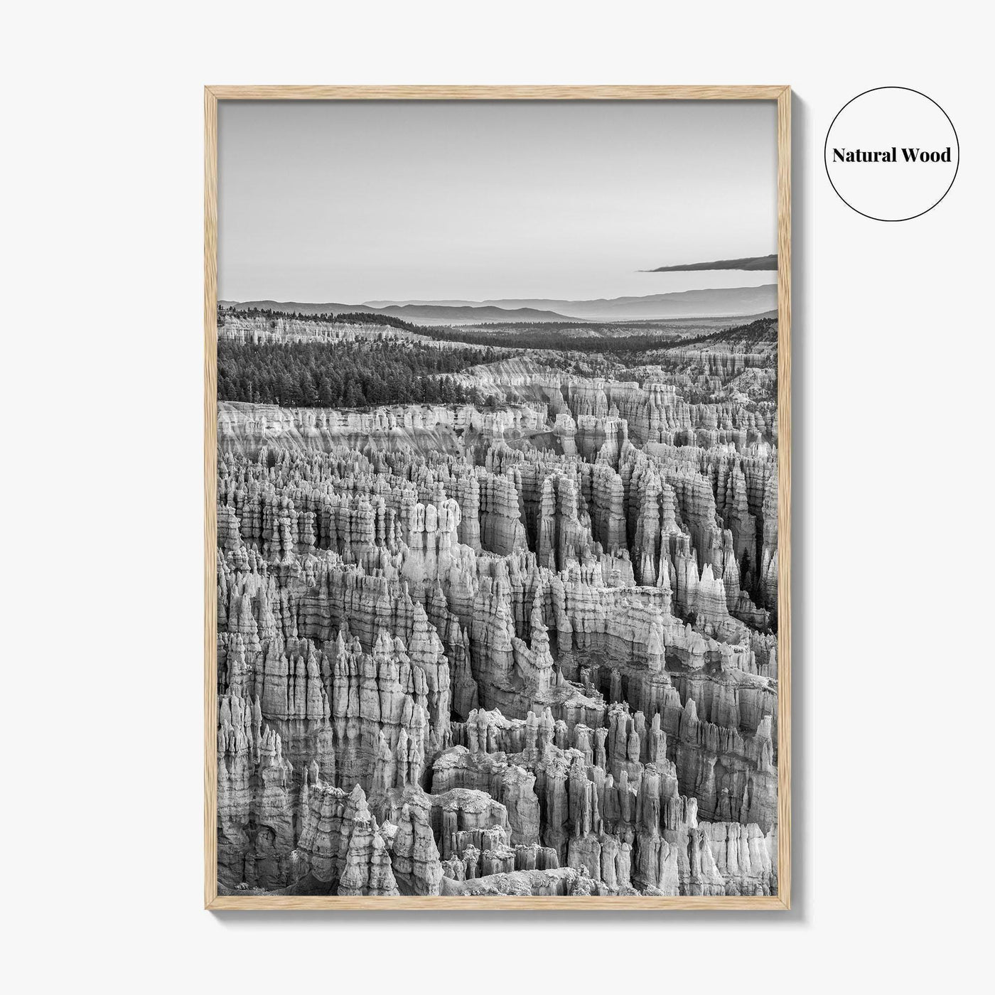 Bryce Canyon National Park Black and White Fine Art Photo Print, Utah USA Poster