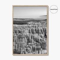 Bryce Canyon National Park Black and White Fine Art Photo Print, Utah USA Poster