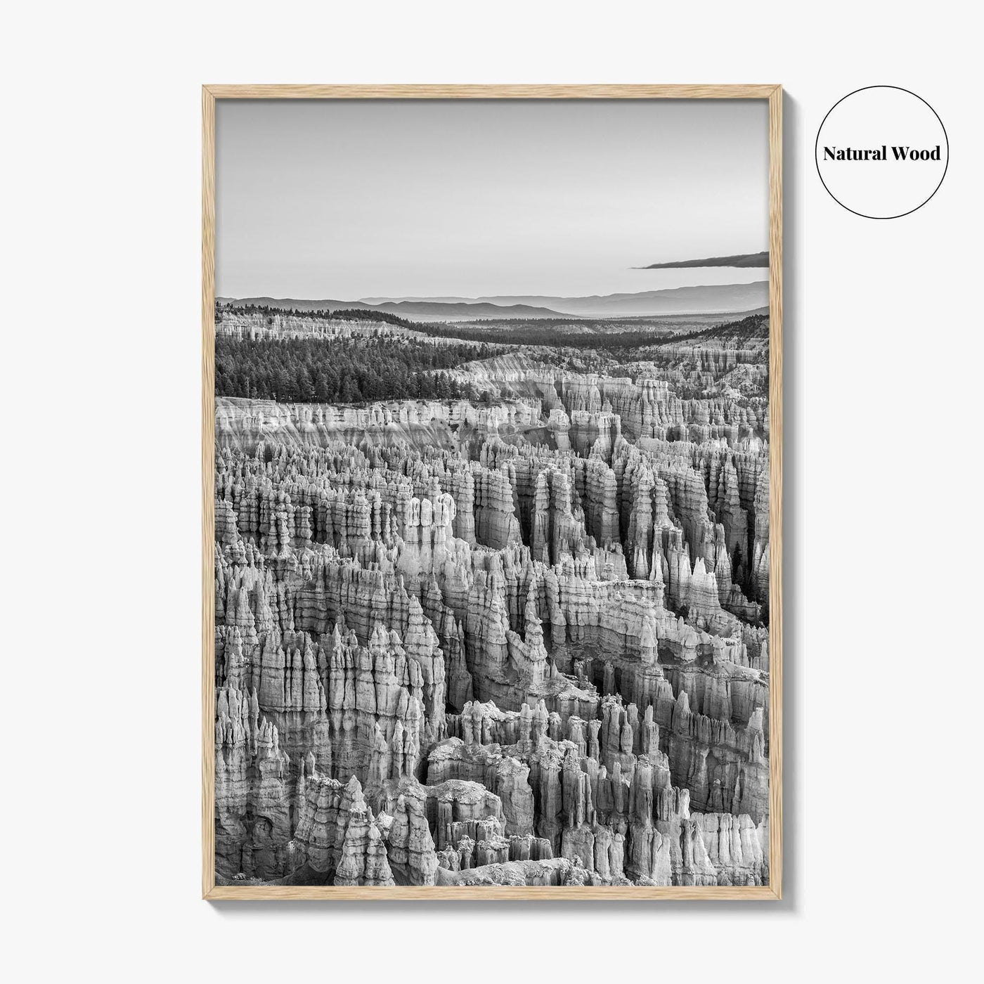 Bryce Canyon National Park Black and White Fine Art Photo Print, Utah USA Poster
