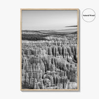 Bryce Canyon National Park Black and White Fine Art Photo Print, Utah USA Poster