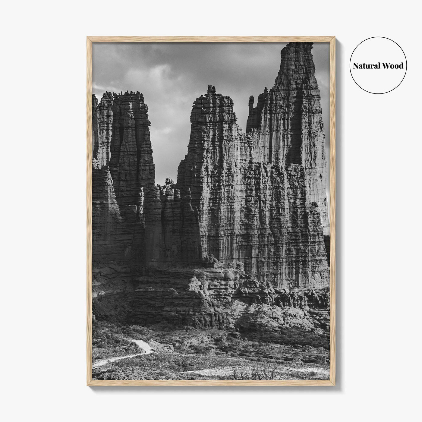 Moab Black and White Fine Art Photo Print, Fisher Towers Utah Colorado River Poster