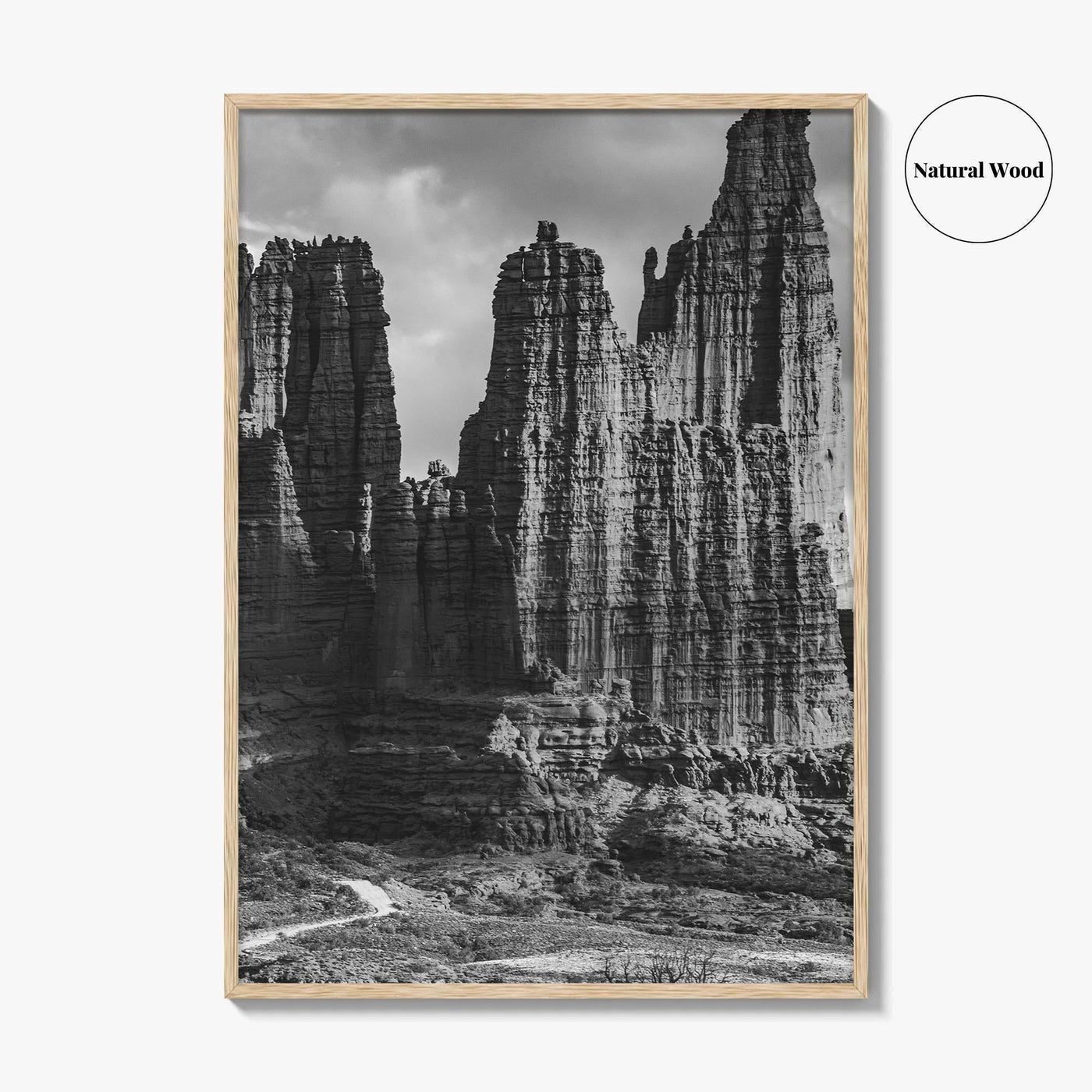 Moab Black and White Fine Art Photo Print, Fisher Towers Utah Colorado River Poster