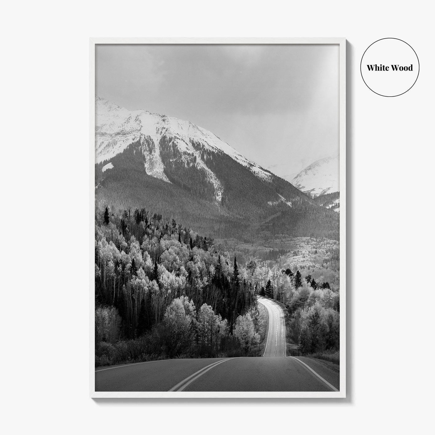 Telluride Colorado Black and White Fine Art Photo Print, Mountain Village CO Poster