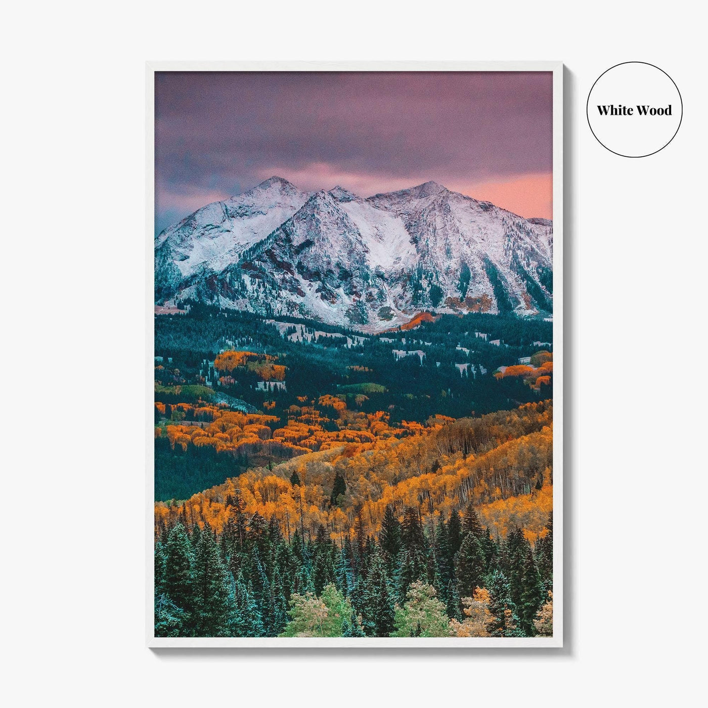 Crested Butte Fine Art Photo Print, Kebler Pass, East Beckwith Mountain, Colorado Poster