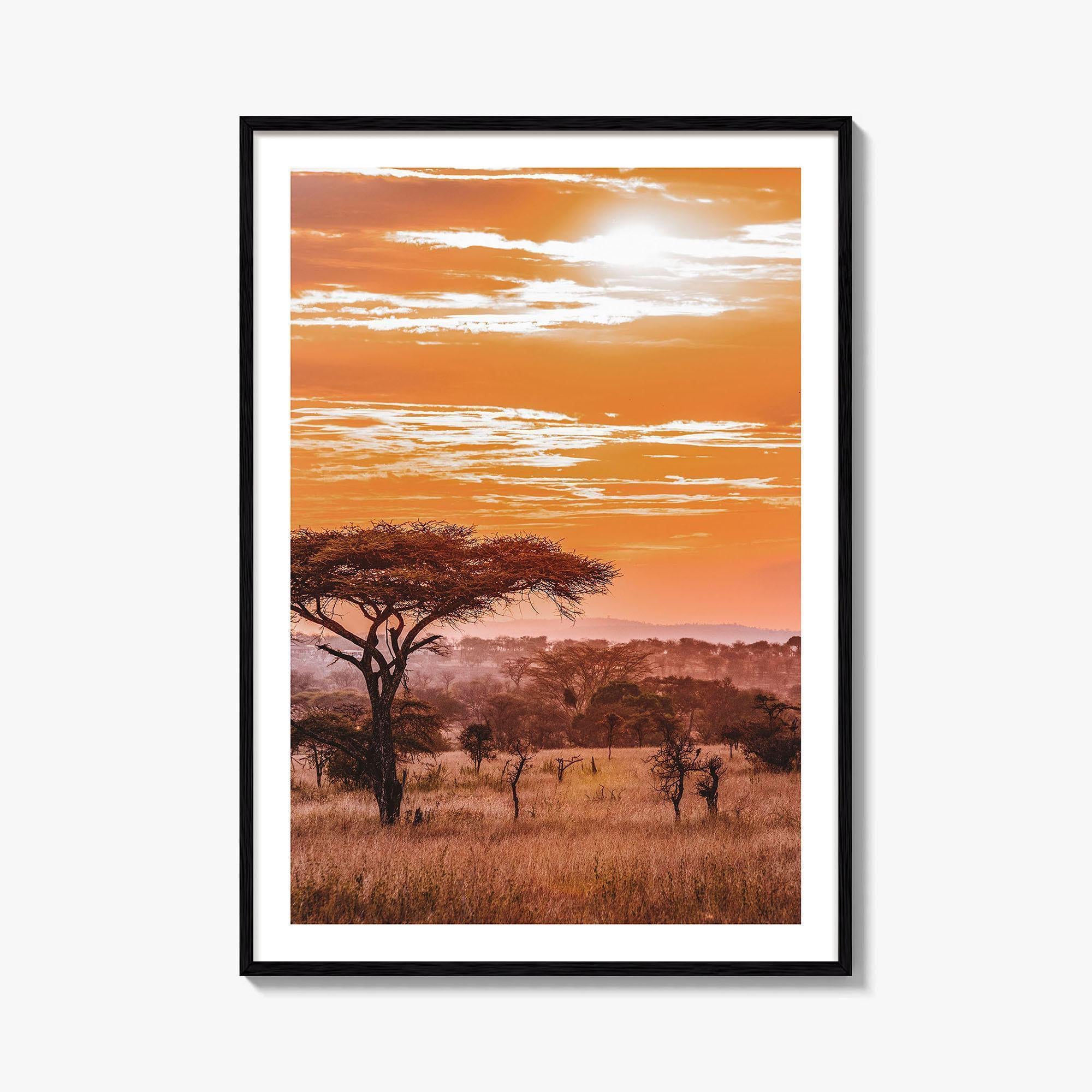 Serengeti Fine Art Photo Print, Tanzania Wall Poster, African Savanna, Acacia Trees
