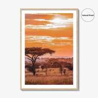 Serengeti Fine Art Photo Print, Tanzania Wall Poster, African Savanna, Acacia Trees