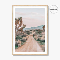 Joshua Tree National Park Fine Art Photo Print, Pioneertown Mountains Preserve, Mojave Desert Poster
